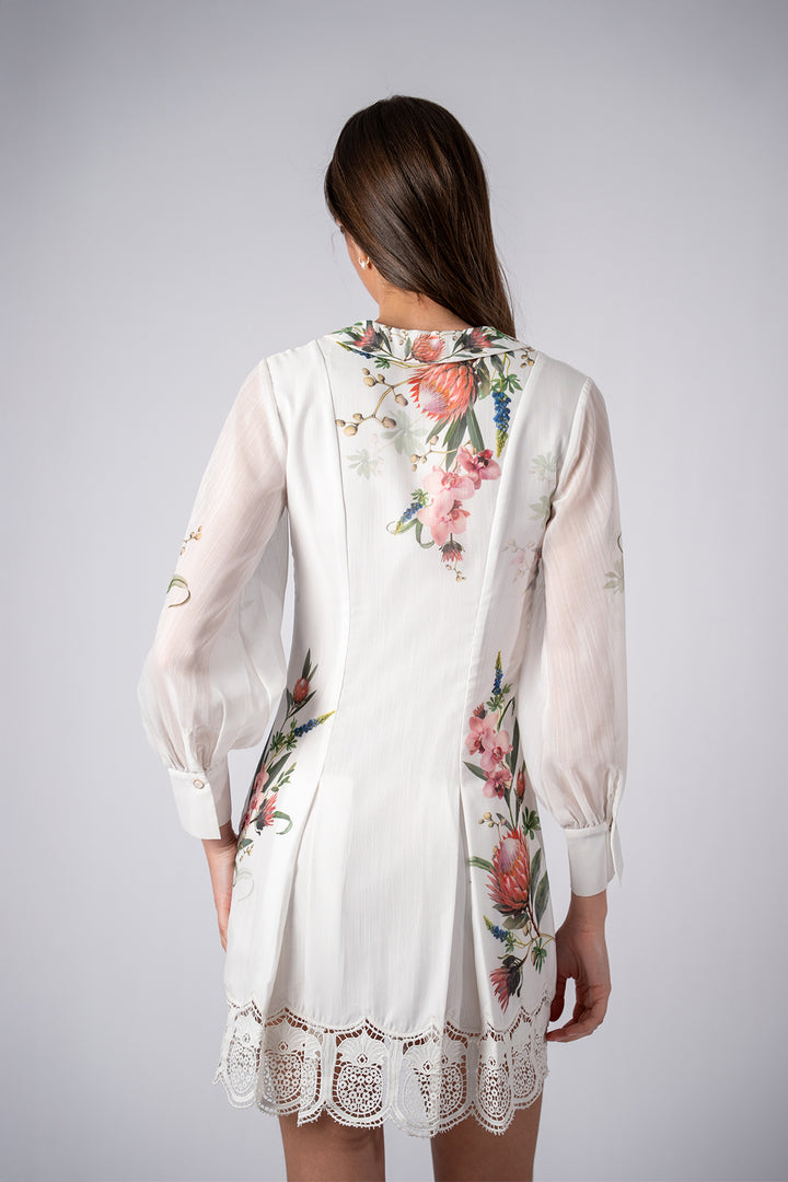 Alivio Chelsea Collar Dress