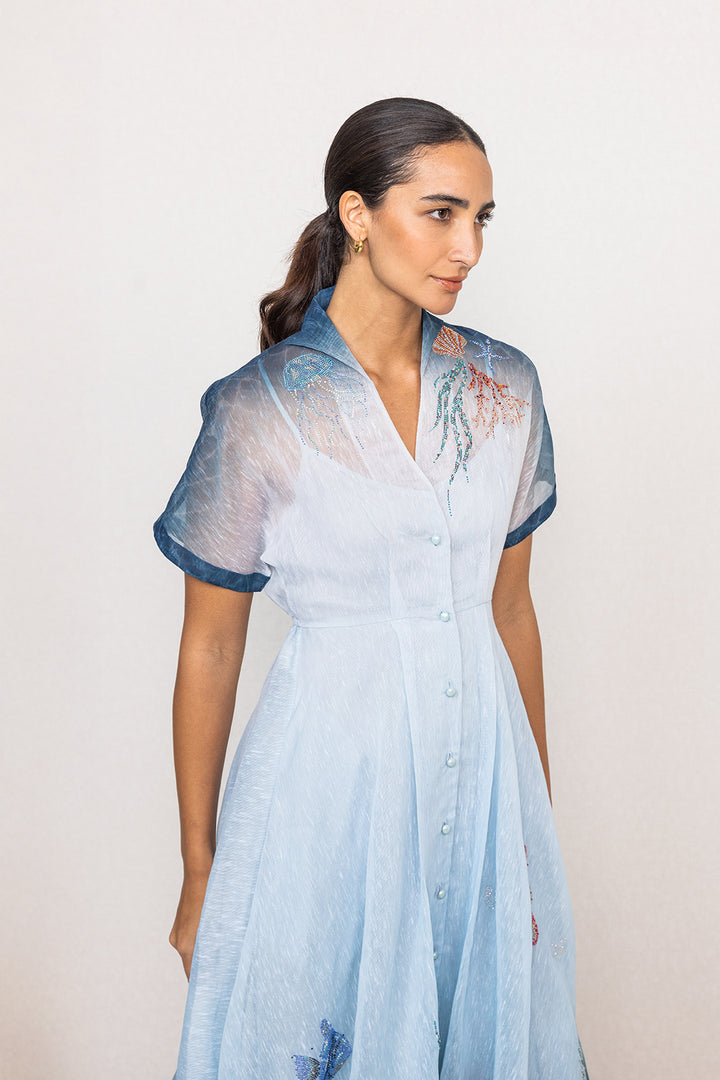 Selina Flared Midi Dress