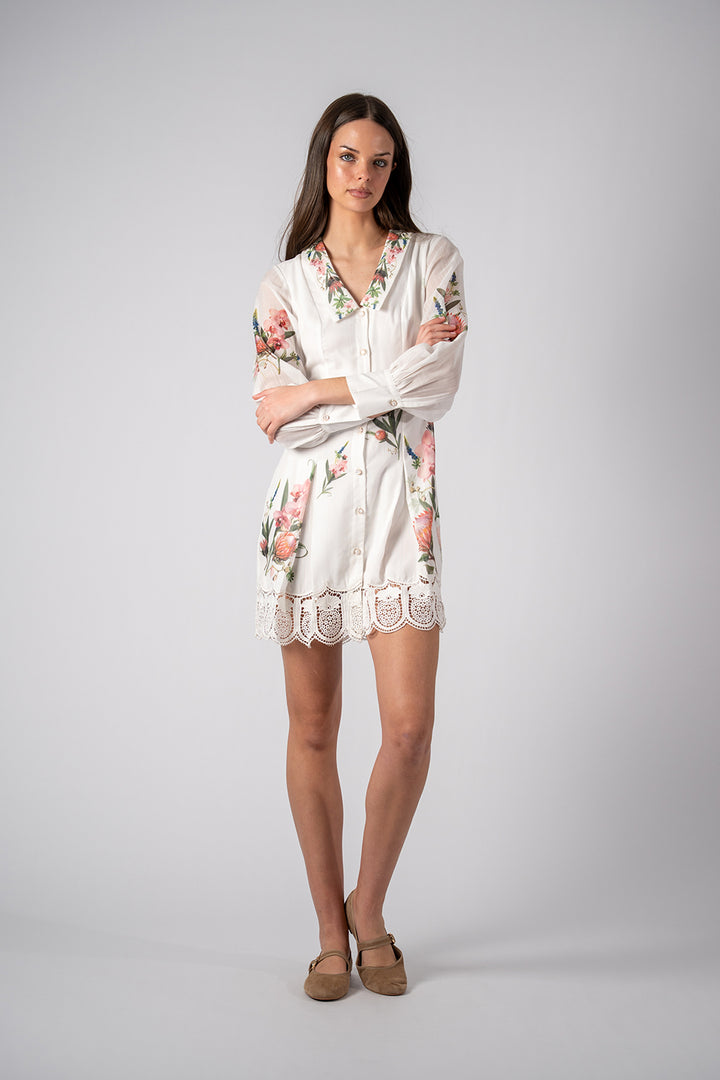 Alivio Chelsea Collar Dress