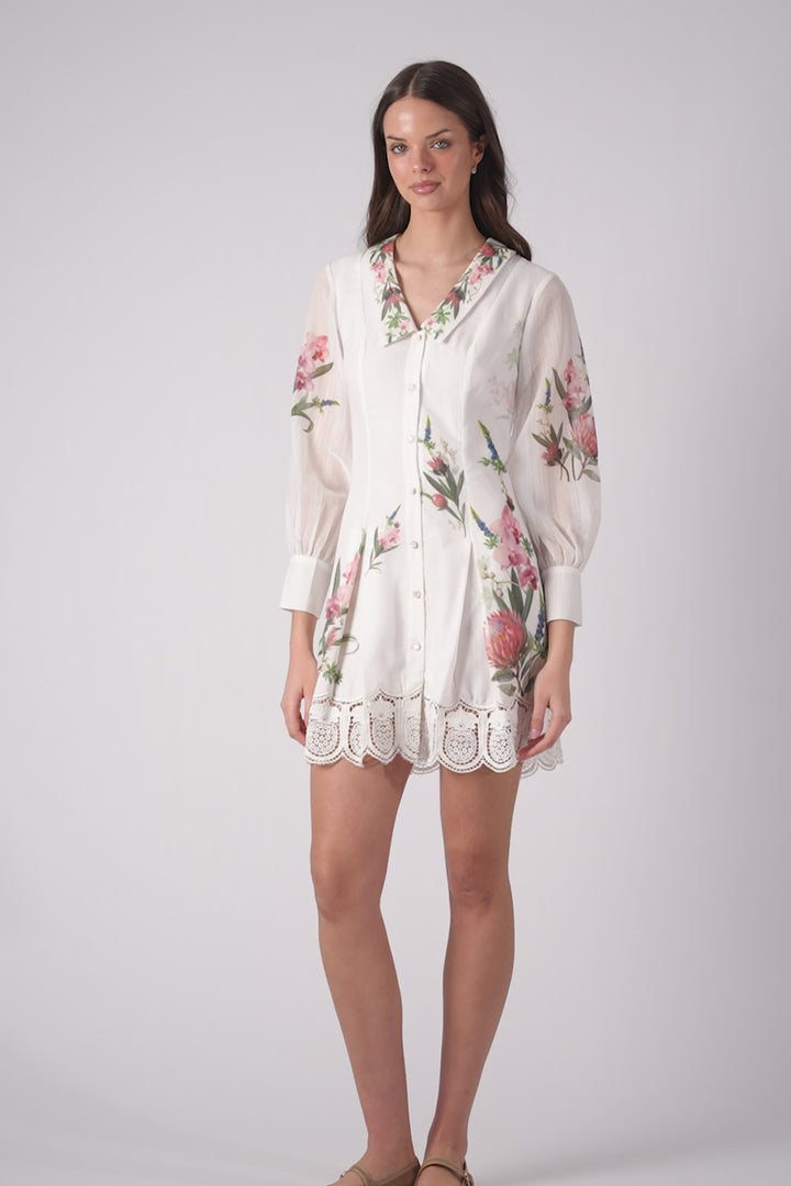 Alivio Chelsea Collar Dress